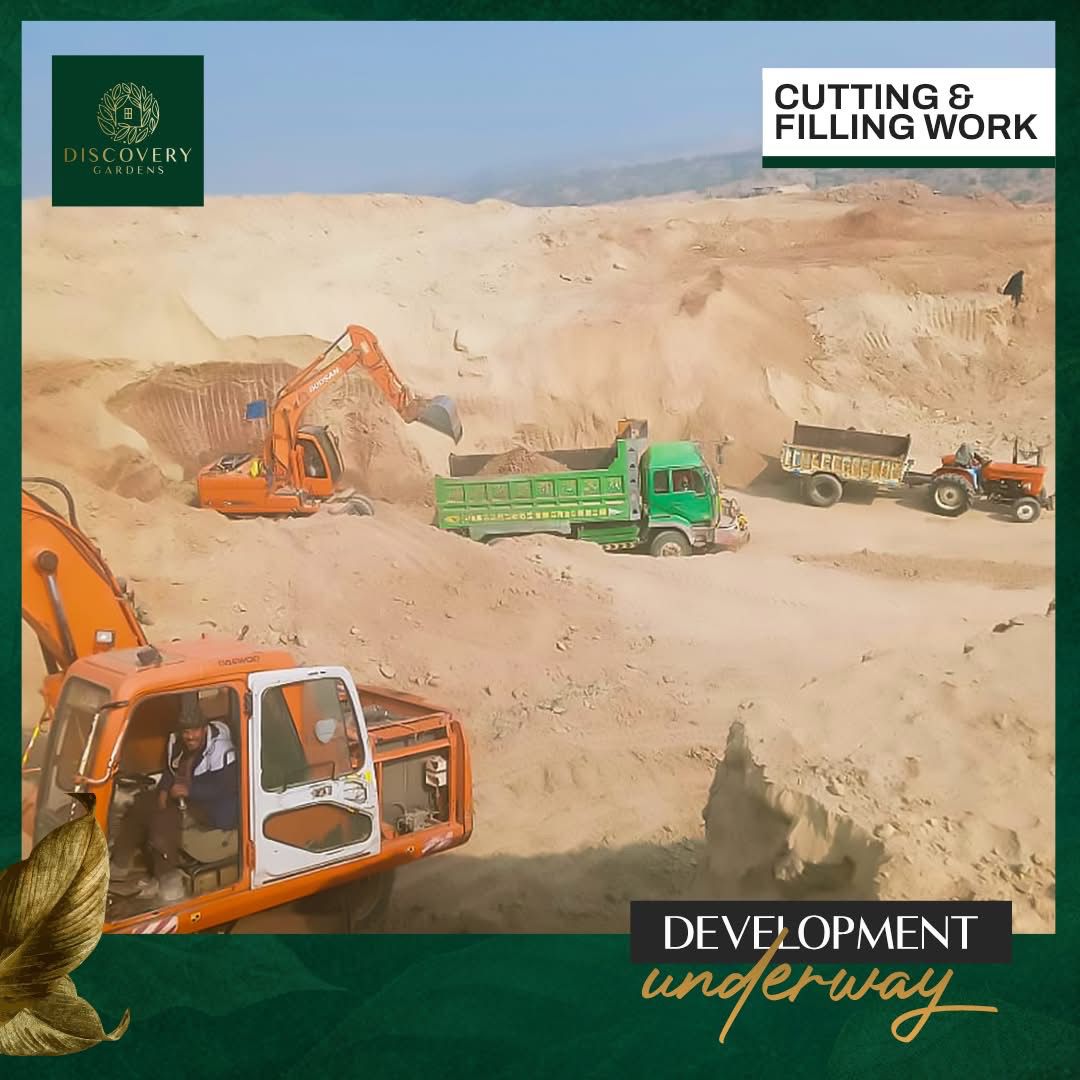 WhatsApp-Image-2025-03-15-at-11.41.13-PM