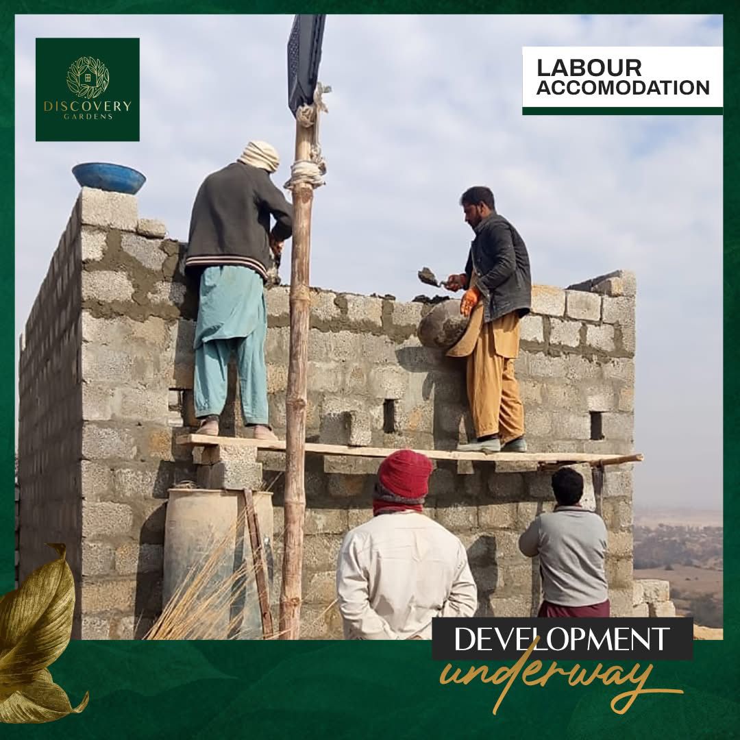 WhatsApp-Image-2025-03-15-at-11.41.14-PM-2