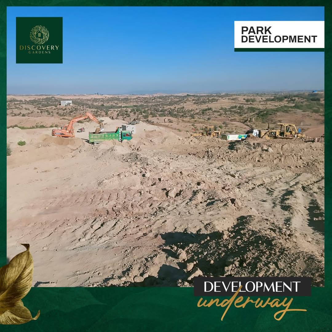 WhatsApp-Image-2025-03-15-at-11.41.14-PM