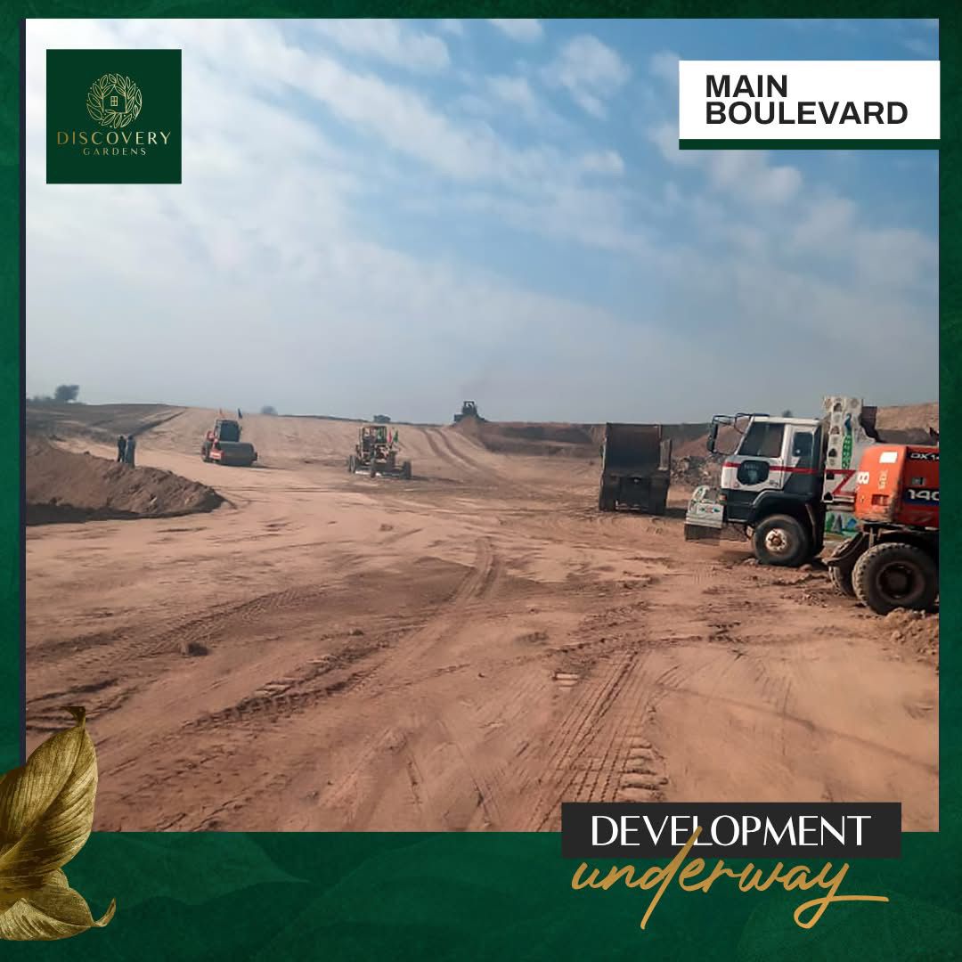 WhatsApp-Image-2025-03-15-at-11.41.15-PM (1)